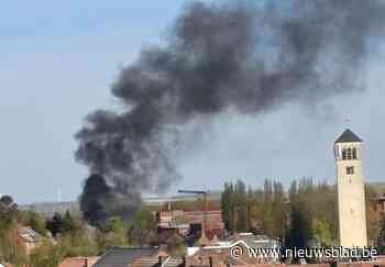 Tuinhuisbrand veroorzaakt dikke rookpluim in Tongeren