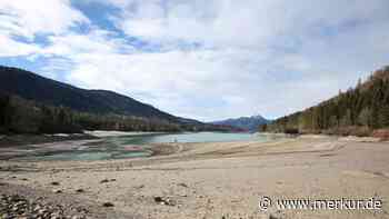 Ebbe am Walchensee: Uniper nennt Termin für Wiederaufstau – Bis zum gewohnten Pegel dauert es aber noch
