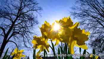 Nach einem sommerlichen Samstag ändert sich das Wetter - kommt der ersehnte Regen?