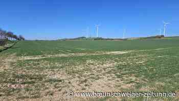 Waldbrandgefahr und trockene Äcker: Der Harz hofft auf Regen