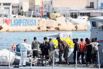 Landtagsabgeordnete reisen zur „Flüchtlingsinsel“ Lampedusa