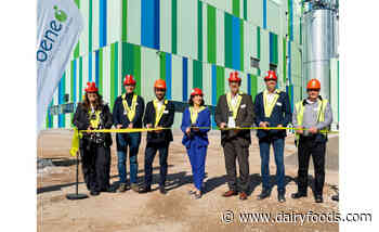 BENEO opens pulse-processing plant