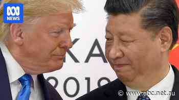 'What's not to like': Australians could benefit from US-China tariff war