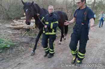 FW-DO: Feuerwehr fängt entlaufenes Pferd ein