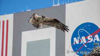 Elon Musk's DOGE team given 'alarming degree' of access to NASA systems, House Democrats say