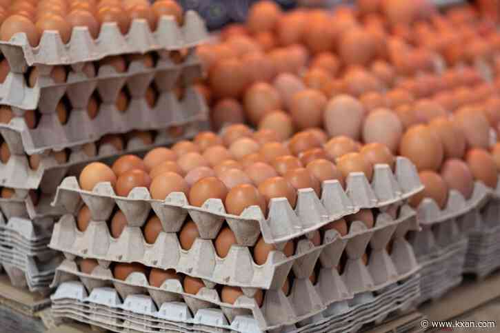 Egg prices dropping just in time for Easter