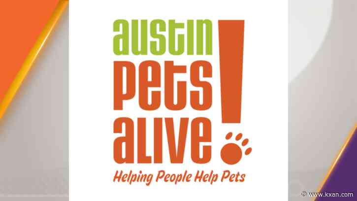 APA! Thrift Pflugerville holds Pfirst anniversary sale