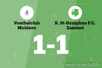 Moldavo C en Zammel B delen de punten