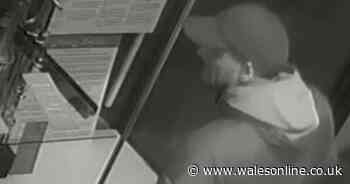 'High value' artefact stolen from Welsh castle as police launch appeal