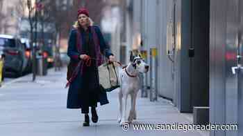 Movie review: THE FRIEND (2024)