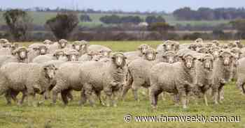 RSPCA WA wants to set the record straight on funding and its role