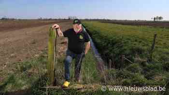 Landbouwers boos over nieuw Mestactieplan: “Die grond zijn we voor eeuwig kwijt”