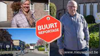 Op stap in Rosekapellewijk in Borsbeek met straatvrijwilliger Walter: “Vroeger zaten de buren ‘s avonds meer bij elkaar”
