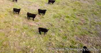 It's just a quick trip out of Albany to secluded rural block at Elleker