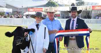 Calrossy handler wins champion trade steer competition in his Sydney Royal debut