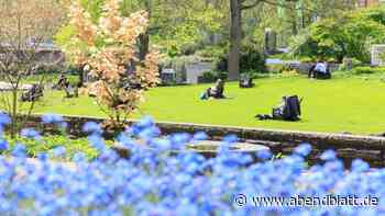 Leser fordern: „Verschmutzung und Vermüllung der Stadt muss aufhören!“