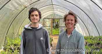 The pretty spring plant that's easy to grow and endlessly rewarding