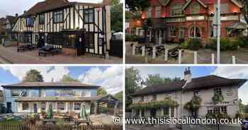 Five dog-friendly pubs in Romford for you to enjoy with your furry friends