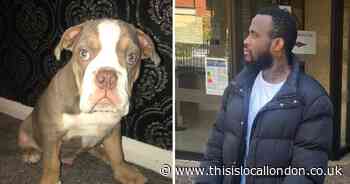 Man stole weeks-old puppy in Orpington telling owner 'stop me and I'll do you'