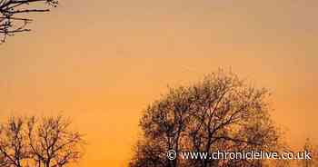 BBC Gardeners' World star inundated with support after tragic news