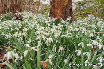 Van zonnig naar regen dit weekend; pas op voor gladheid op de weg