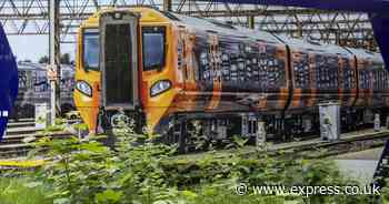 Huge ?61m UK railway mega project update as 3 new stations to open