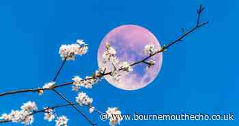 Here's when you'll will be able to spot the stunning Pink Moon this week
