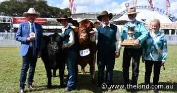 Reached the Summit at Sydney: the Temptress is going back to the herd