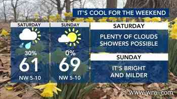 Cool weather, stray shower Saturday ahead of Sunday, Monday warm-up