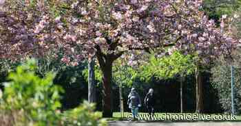 Met Office warns 'all change' as North East weekend forecast shows weather shift