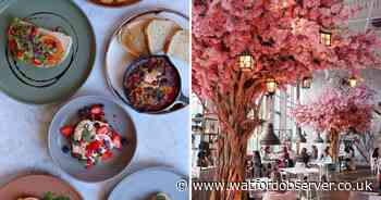 The ‘beautiful’ Watford restaurant decked in flowers that’s gone viral