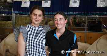Around the cattle sheds and in the ring: Faces of the Sydney Royal Easter Show