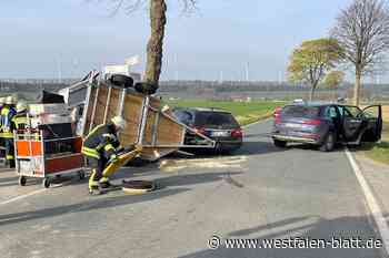 Pferd aus Anhänger befreit