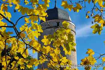 Viele Touristen in Warburg