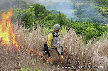 Army to begin prescribed burn of Schofield training range