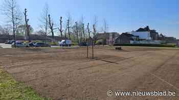 Boom stuurt groenbeheer bij: minder maaien, meer bloemen