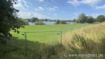 Gift in Liegewiese an Dove-Elbe: Bodenaustausch kostet Millionen