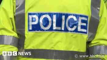 Woman hurt and dog killed by 'bull breed'