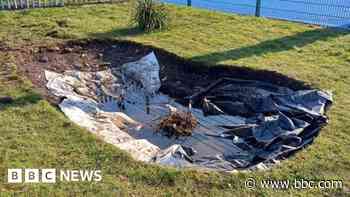 Park pond destroyed by vandals after refurbishment