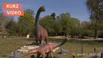 Dinosaurier erobern Kölner Zoo
