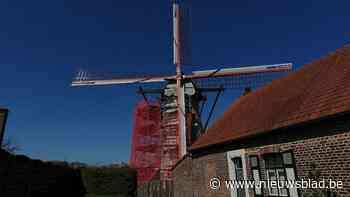 Sevensmolen krijgt opknapbeurt: “Monument beschermen tegen weer en wind”