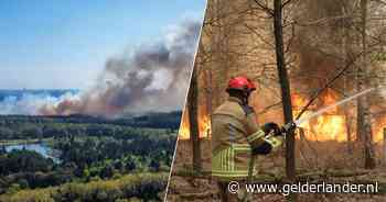 Zeer grote bosbrand in Loonse en Drunense Duinen: ‘Verlaat direct het bosgebied’
