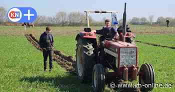 Leistungspflügen in Brügge ohne GPS ist auf dem Acker herausfordernd