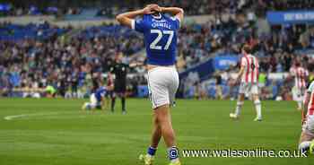 Poor Cardiff City ratings as players overpowered and subs anonymous