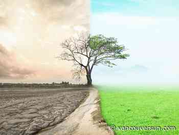 B.C. climate news: Gitanyow chiefs tell B.C. court LNG project threatens salmon rights | Major nations agree on first global fee on greenhouse gases that targets shipping