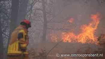 Kijk hier naar de zeer grote bosbrand bij de Drunense Duinen