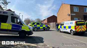 Escaped XL Bully found and put down after shooting