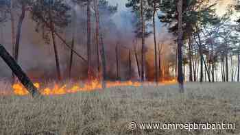 Grote bosbrand: brand breidt zich uit • handcrew maakt stoplijnen