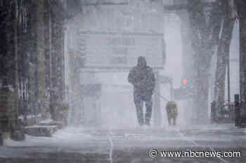 Snow, rain and strong winds descend on the Northeast