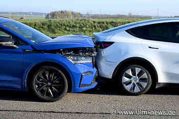 Verursachte Mäusebussard Unfall mit fünf Autos auf der A8 Ulm-Nord?